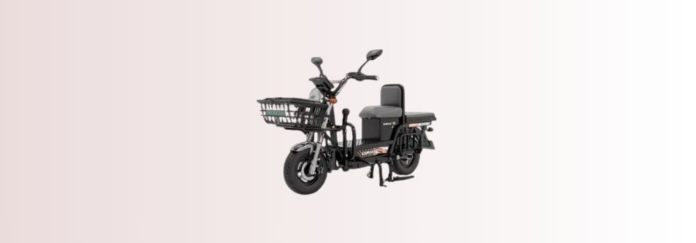 Electric Scooter 3